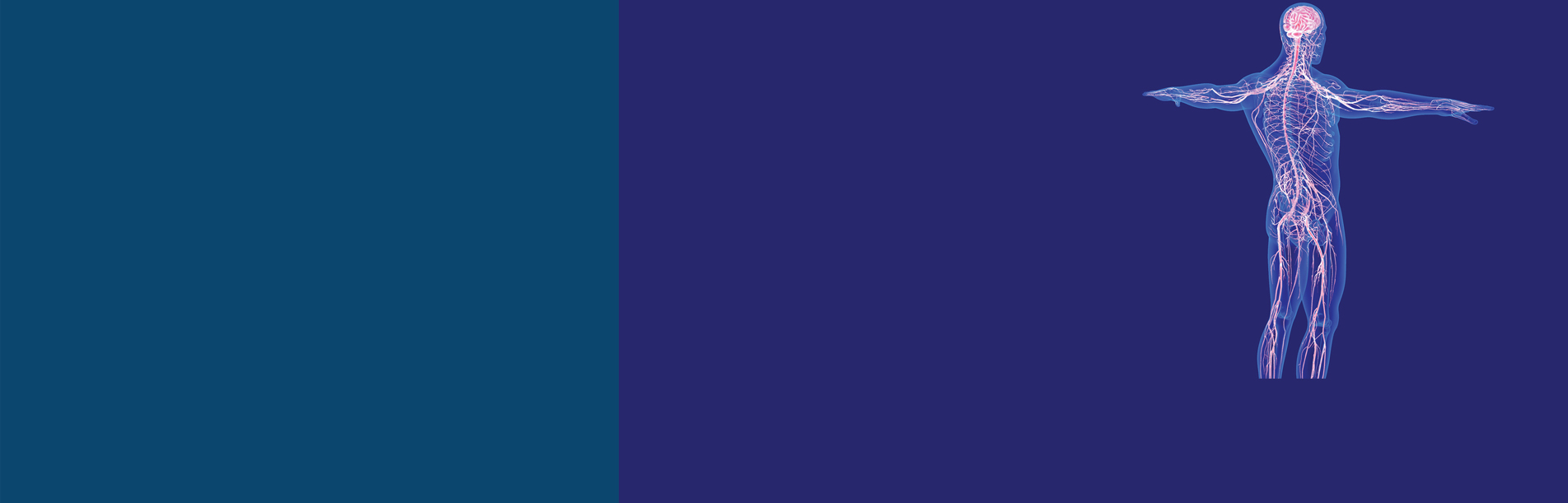 illustration of the human body, brain and sensors