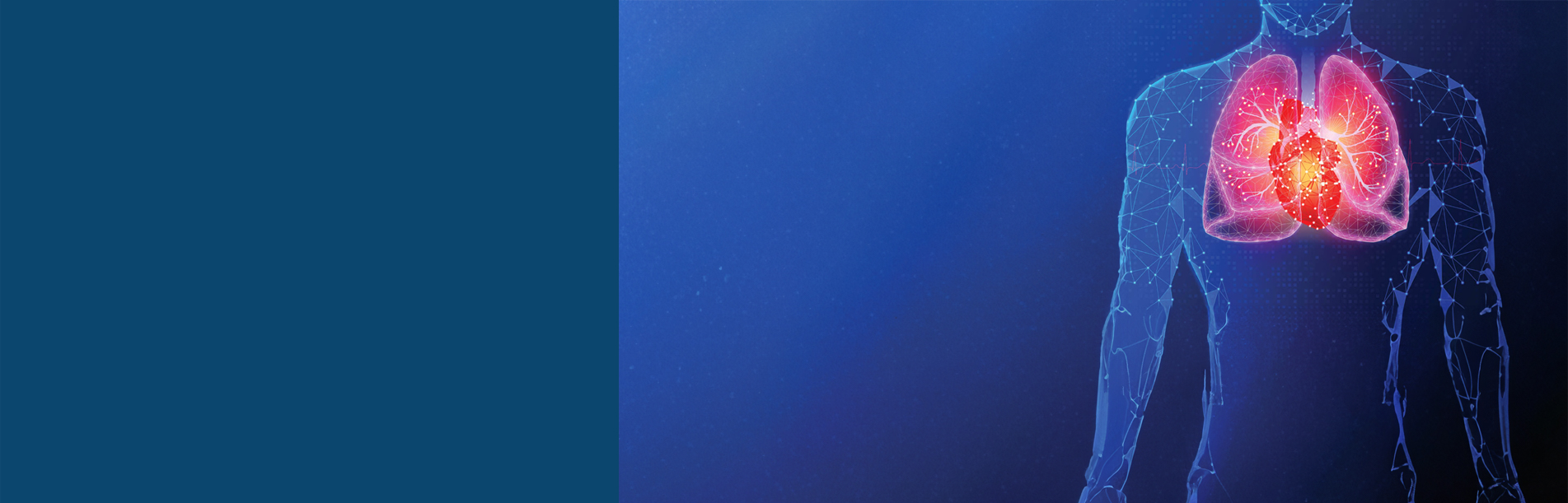 graphic of a human body with lungs and heart