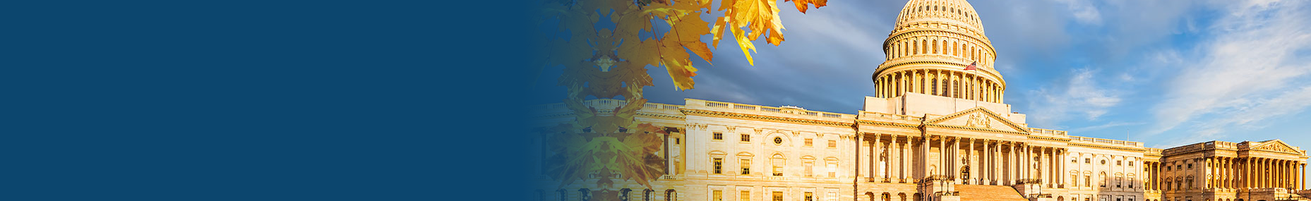 Advocacy Header