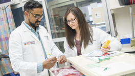 Certification Resources