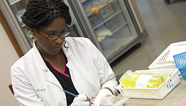 Drug Shortages Guidelines and Tools