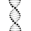 black and white dna helix