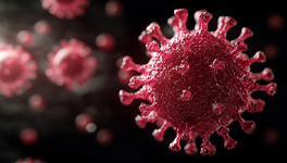 avian flu - image of virus