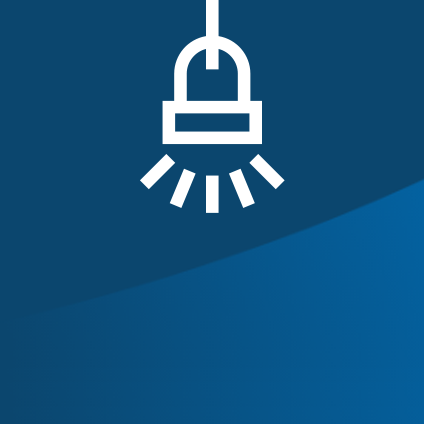 Mentor and Mentee Spotlights