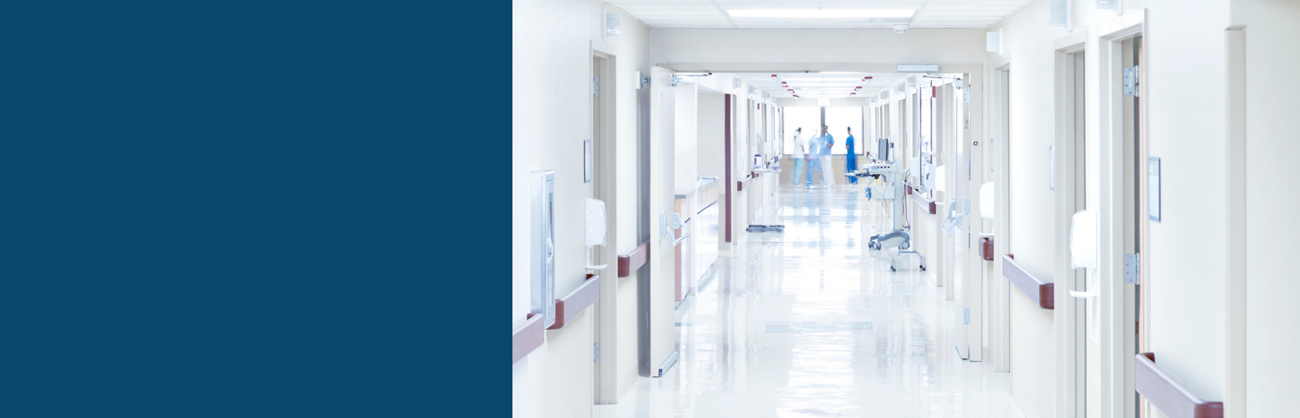 AHFS Drug Information & AHFS DI Essentials