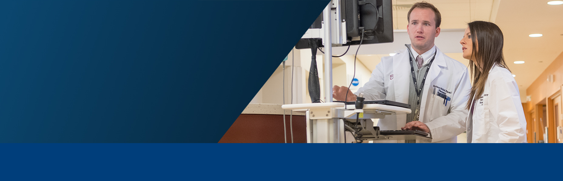 Male and female pharmacist working on computer